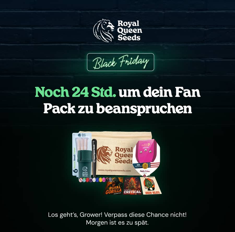 Fan Pack 24h DE desk